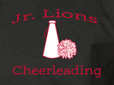 Lackawanna Trail Jr. Lions Cheerleading