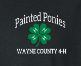 Painted Ponies
