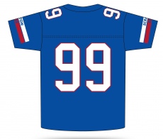 Scranton Eagles Custom Replica Football Jersey