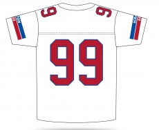 Scranton Eagles Custom Replica Football Jersey